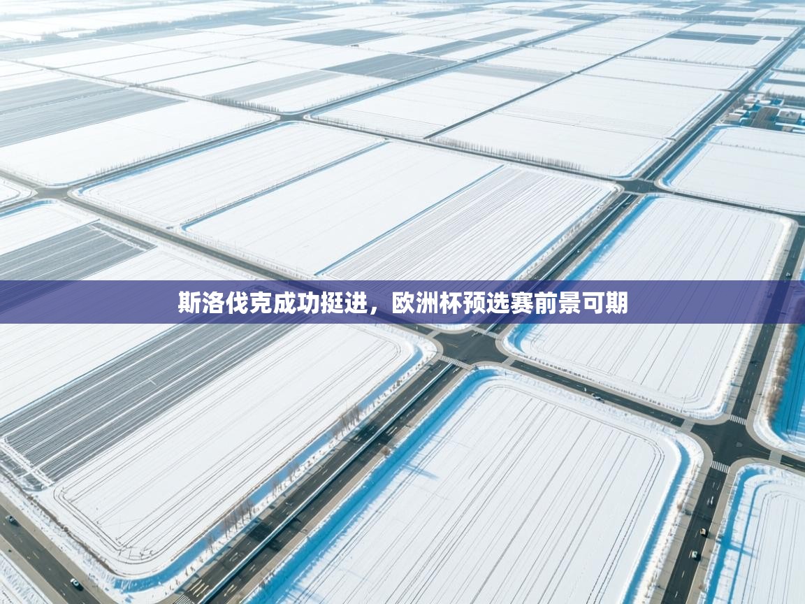 开云体育在线登入-斯洛伐克成功挺进，欧洲杯预选赛前景可期  第2张