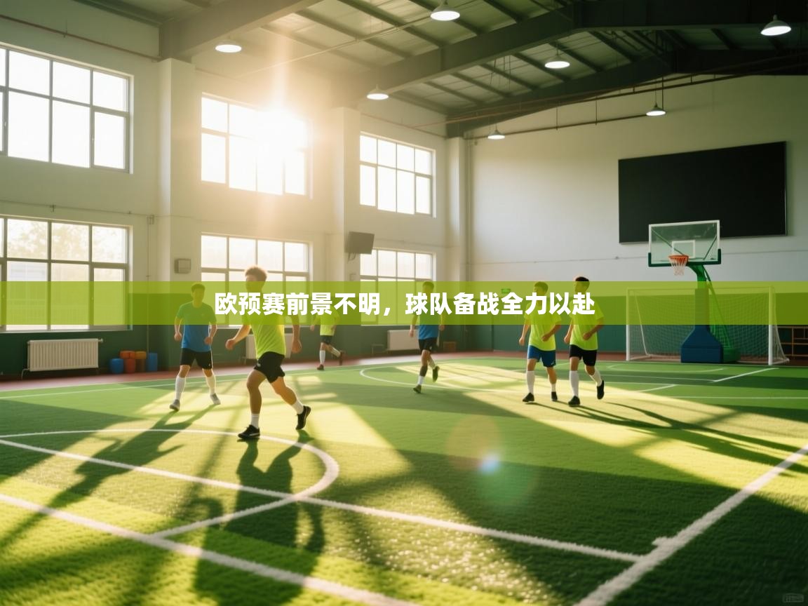 开云体育赛事比分直播-欧预赛前景不明,球队备战全力以赴 第4张